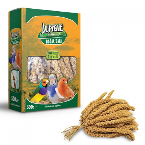 Jungle Doğal Dal Darı 500 g