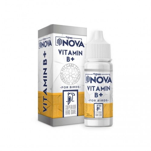 Nova Vitamin B+ 30 ML
