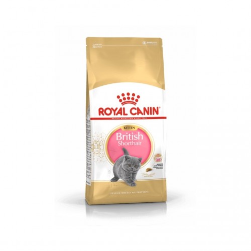 Royal Canin British Shortair Yavru Kedi Maması 2 KG