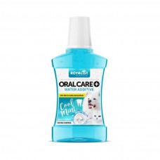 Royalist Oral Care Cool Mint Ağız Bakım Suyu 250 ML 