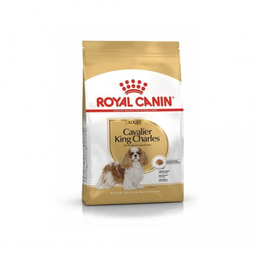 Royal Canin Cavalier King Charles Yetişkin Köpek Maması 1,5 KG