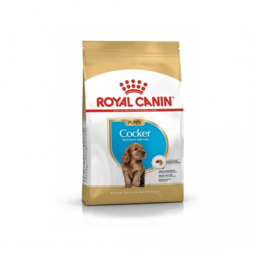 Royal Canin Cocker Puppy Yavru Köpek Maması 3 KG