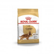 Royal Canin Cocker Yetişkin Köpek Maması 3 KG