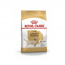 Royal Canin Labrador Retriever Yetişkin Köpek Maması 12 KG