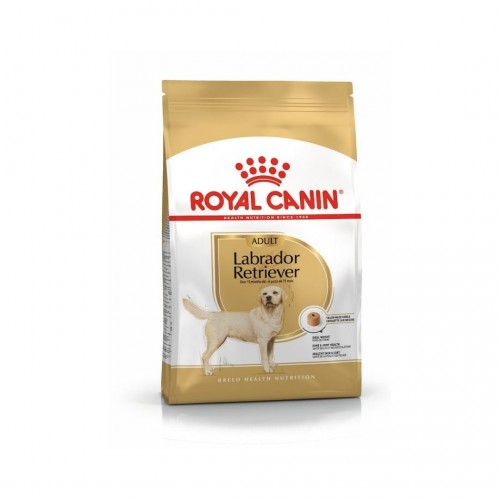 Royal Canin Labrador Retriever Yetişkin Köpek Maması 12 KG