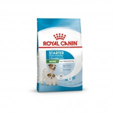 Royal Canin Mini Starter Yavru Köpek Maması 4 KG