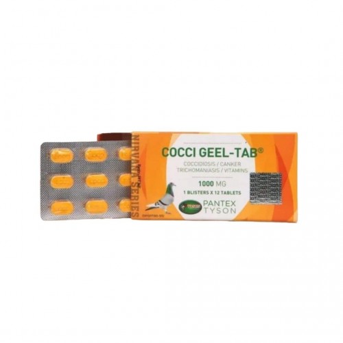 Cocci Geel Tab Sulu İshal ve Mantar Destek Ürünü 1000 MG 12 Tablet