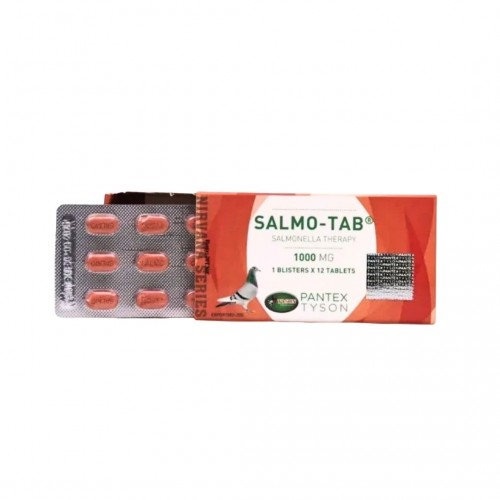 Salmo-Tab Sallabaş ve Yeşil İshale Karşı 1000 MG 12 Tablet
