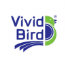 Vivid Bird