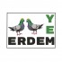 Erdem Yem (31)