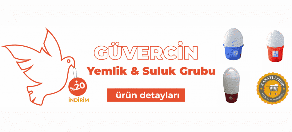 Guvercin Grubu