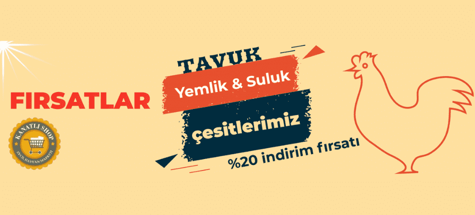 Tavuk Grubu