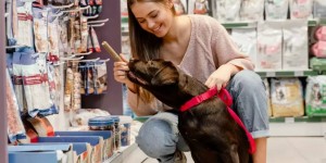 Kedi Ve Köpekler İçin Doğru Ödül Maması Seçimi.
