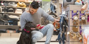 Köpeğinize Tasma Seçerken Dikkat Etmeniz Gerekenler